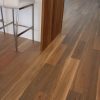 Australian Native Spotted Gum 1