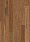 Australian Native - Spotted Gum 1 by Hurford Flooring