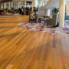 First Floors Range - Spotted Gum by Hurford Flooring