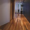 Boral Overlay Solid Strip Flooring - Spotted Gum