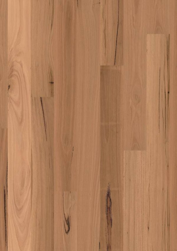 First Floors Range - Blackbutt by Hurford Flooring